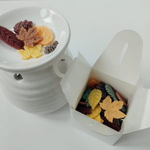 Wax melt Secreto otoñal