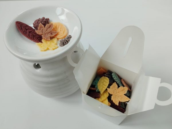 Wax melt Secreto otoñal