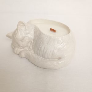 Vela en envase de gato durmiendo